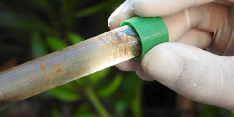 PREVENCIÓN. Los cuidados para evitar los criaderos del Aedes aegypti deben realizarse durante todo el año.