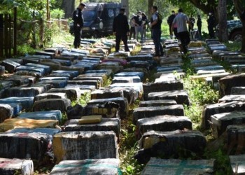 En lo que va del 2022, se incautaron más de 21 toneladas de drogas en Misiones