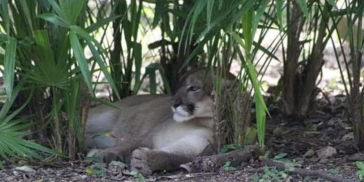 Foto temática (Gentileza: A. Martínez)