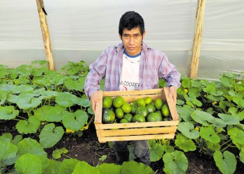 Crece la demanda, la Red YVA tiene 200 clientes por semana