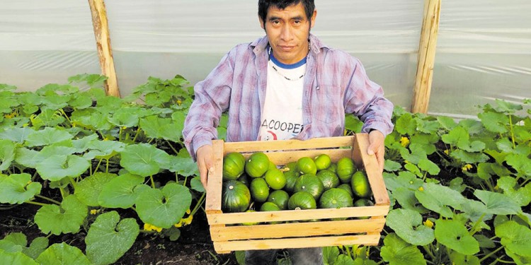 INTEGRANTES. La Red YVA la integran la Cooperativa Agrícola de Gobernador Roca, UTT, MTE Rural, Nuestras Raíces Mandioca, Cooperativa M·Barete, Sindicato de Trabajadores Pasivos, Las Tunas, Organización Barrial Tupac Amarú, Aníbal Verón, Dirección de Derechos Económicos, Sociales y Culturales, INTA, SENASA, entre otros.