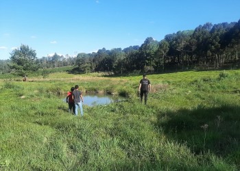 Un pequeño perdió la vida tras caer a un tajamar en San Pedro