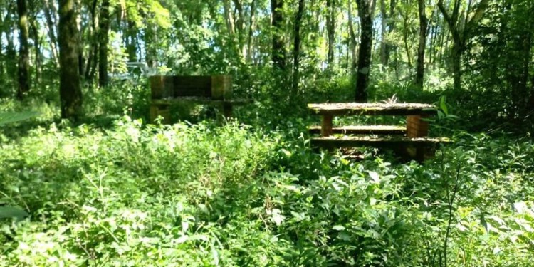 (Foto: Radio Yguazú)