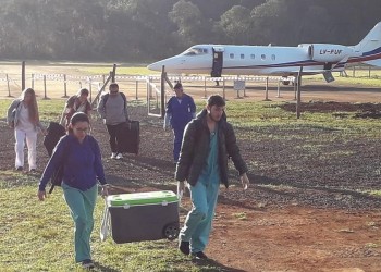 Trasplantes: 120 misioneros en lista y muchos más por ingresar