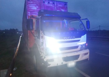 Un peatón murió tras ser atropellado por un camión en la ruta 12