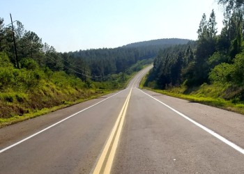 5 de octubre, Día del Camino