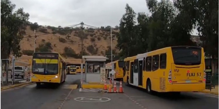 COMPRA. La empresa ya ha incorporado una millonaria flota de colectivos de primer nivel para operar en Chile.