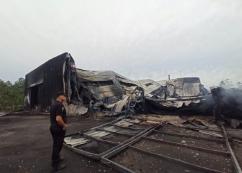 Primera inspección en Depimiel para tratar de determinar las causas del incendio