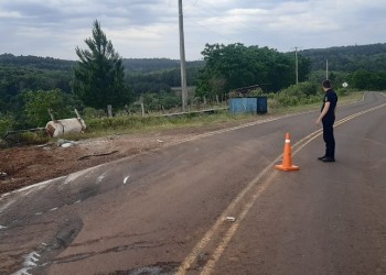 Despistó con su camión en la ruta provincial 215 y cayó al barranco