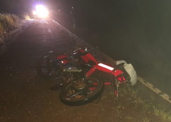 Un árbol cayó sobre la ruta provincial 211 y provocó el despiste de una moto