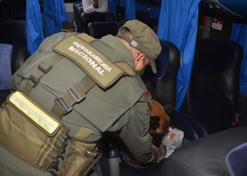 Misiones: viajaba en un micro con más de 3 mil pastillas de éxtasis