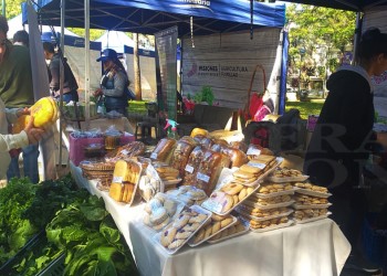Se vive a pleno en Posadas la feria de “Mujeres Rurales de la Agricultura Familiar”