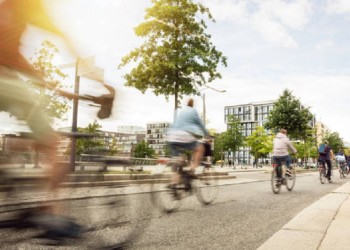 Overshoot: cuando se agotan los recursos