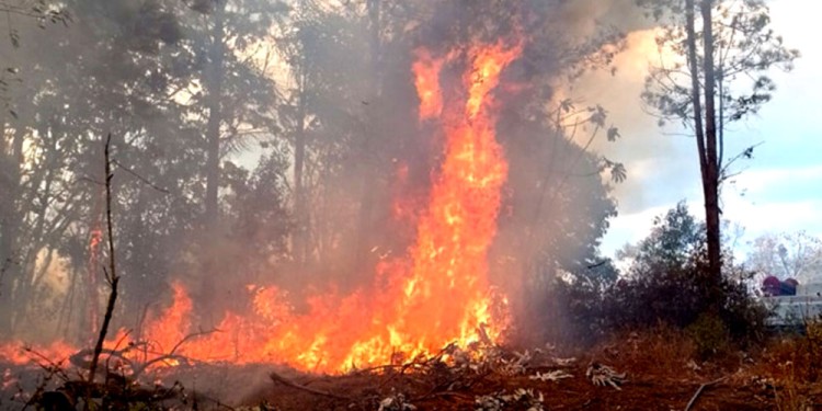 PREVENCIÓN. La intención es impedir el impacto sobre las áreas protegidas como ocurrió en el verano pasado.