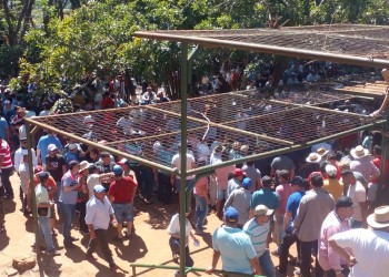 Sin autorización, hubo carreras en el Hipódromo de Posadas y un caballo fue sacrificado