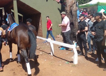 Polémica por la muerte de un caballo en el hipódromo