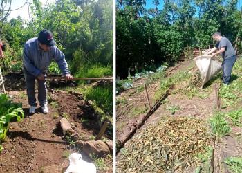 Producen y enseñan a producir alimento en una estación experimental de Garupá