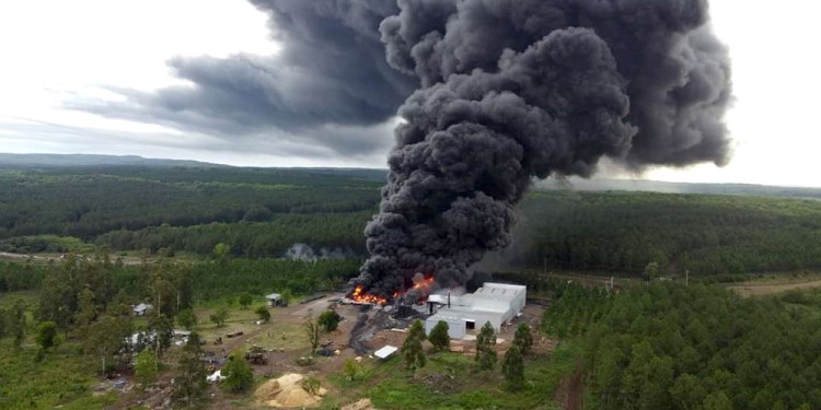 PRIMEROS MINUTOS. Las llamas atacan la fábrica de Depimiel Forestal a la altura del kilómetro 5,5 de la ruta 204. (Foto y Video: Gentileza Atilio Cantalupi)