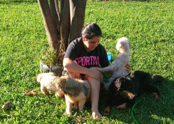 Isabella, la niña rescatista de Oberá que cuida a los animales más indefensos