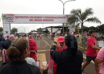 La marea rosa copó la costanera de Posadas