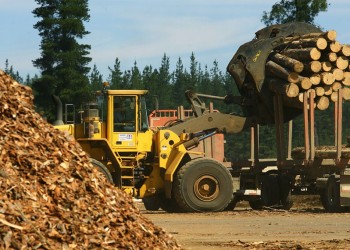 La Mesa Forestal critica al INFOPRO por su “actitud recaudatoria” y falta de respuestas