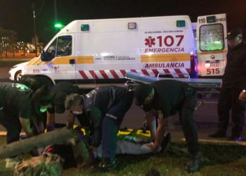 Motociclista herido tras despistar y chocar contra una palmera