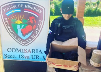 Tres perritas fueron rescatadas por Policías en Posadas