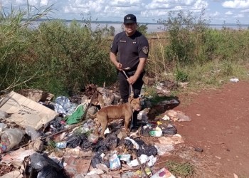 Rescatan a un pitbull atado en un basural de Garupá
