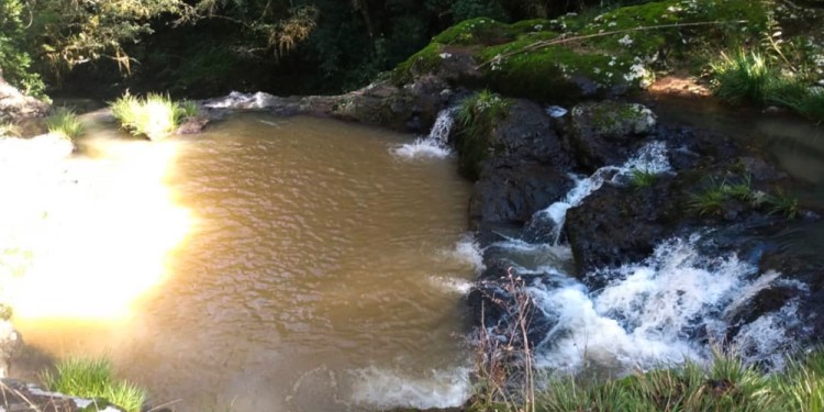 EL ESTUDIO. Investigaciones en biodiversidad no lograron realizarse.