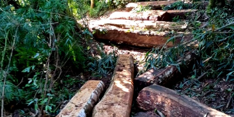 AFECTADOS. Los productores se reunieron en San Pedro preocupados por el avance de los delitos rurales.