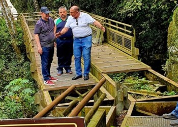 Evaluarán el desplazamiento del balcón del salto Bosetti