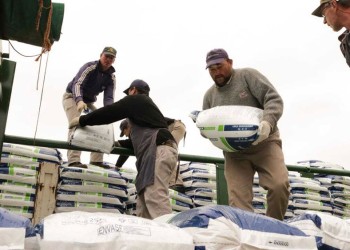 La CoPRoTé busca establecer  el precio del kilo de té en rama