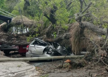 El paso de la tormenta por Corrientes causó varios daños y destrozos