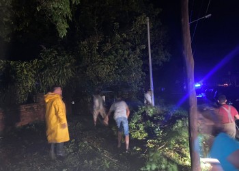 El paso de la tormenta ya causó varios daños en distintos puntos de Misiones