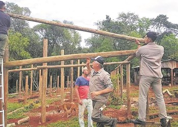 Soberanía alimentaria: apuntan a promover la tecnificación en invernaderos