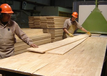 Exportaciones forestales de Argentina crecieron 9 veces menos que las de Brasil