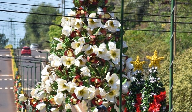 Como preludio de Navidad, esta noche Capioví encenderá las luces de su arbolito