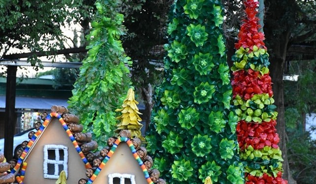 Como preludio de Navidad, esta noche Capioví encenderá las luces de su arbolito