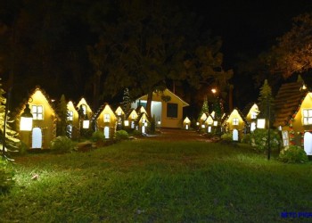 Como preludio de Navidad, esta noche Capioví encenderá las luces de su arbolito