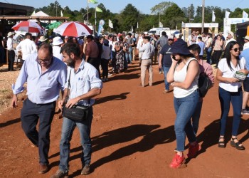 La Feria Forestal “es la demostración de la fuerza productiva que tiene Misiones”