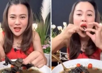 Una “influencer” se enfrenta a 5 años de cárcel por grabarse comiendo un murciélago