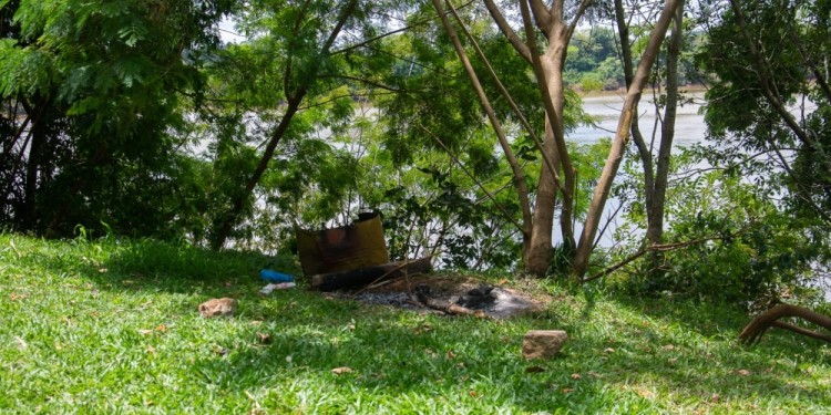 NATURALEZA. Limpiar y desmalezar el sector para dejarlo en condiciones.
