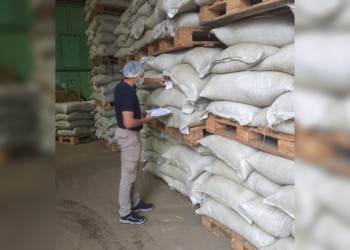 Yerba mate: controles sobre precios mínimos