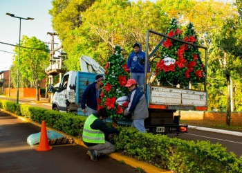 La decoración navideña comienza a lucirse en Capioví