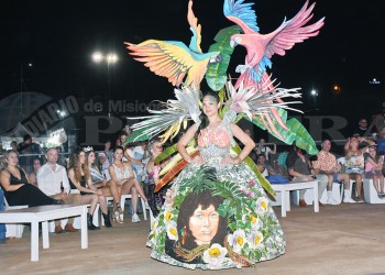 Exitoso desfile de “Misiones al Mundo” en la Cascada de Posadas