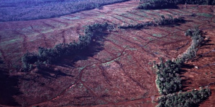 SIN INVERSIÓN. Ecología tiene un reducido plantel de inspectores forestales y guardaparques para cuidar la selva.