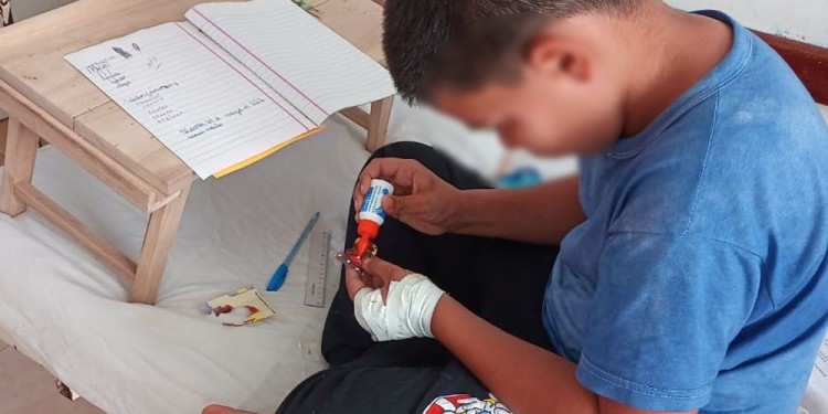 CONTINUIDAD PEDAGÓGICA. Un 65% de la matrícula fue de nivel primario.