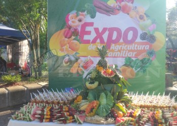 A pleno se desarrolla la Expo de Agricultura Familiar