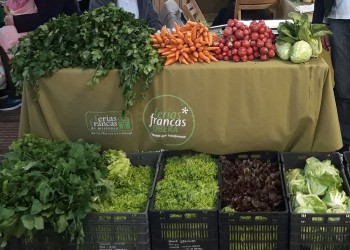 Feriantes de Oberá preocupados por su situación irregular y las bajas ventas