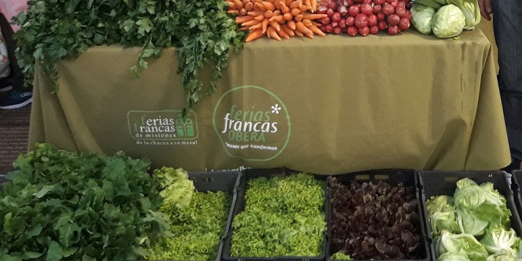 REPERCUSIÓN. Los colonos buscan diversificar, aunque los más perjudicados son los productores de carne.